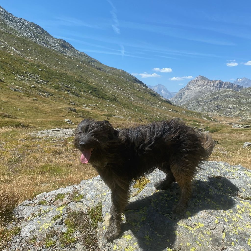 Twister du Champ D'Onix